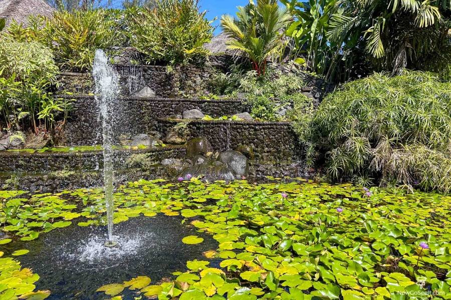 Jardins de Paofai (Pā'ōfa'i Gardens) Tahiti